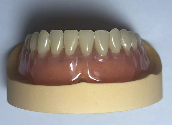 Dental Lab Acrílico Arco Completo Dentaduras fáciles de usar con forma natural