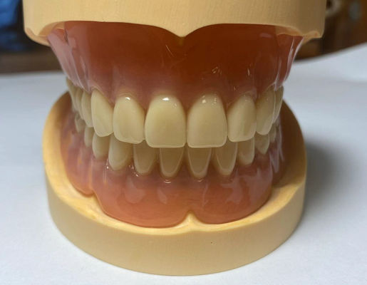 Dentadura acrílica completa de ajuste preciso personalizable ligera y resistente a las manchas